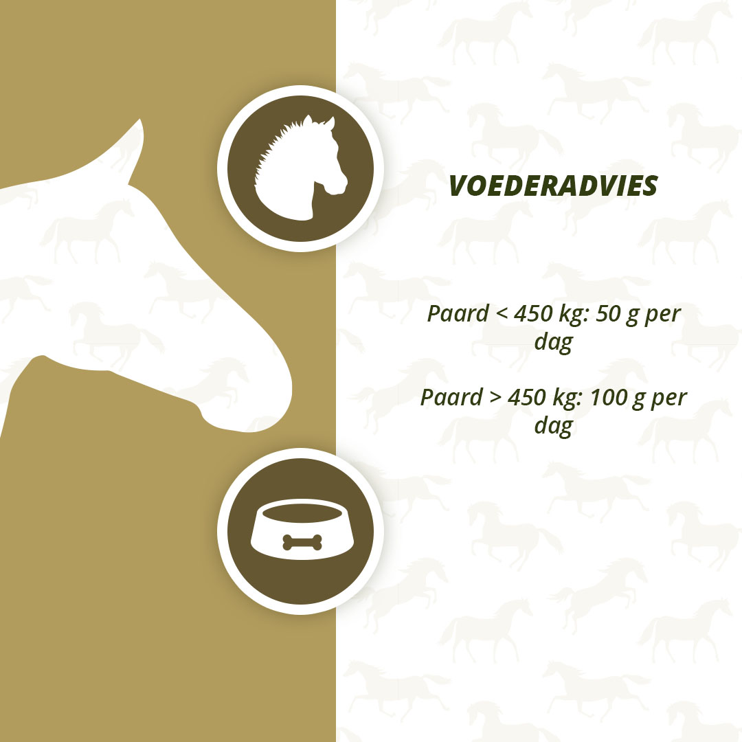 Excellent Horse Prebiotics 2,5 kg — afbeelding 4