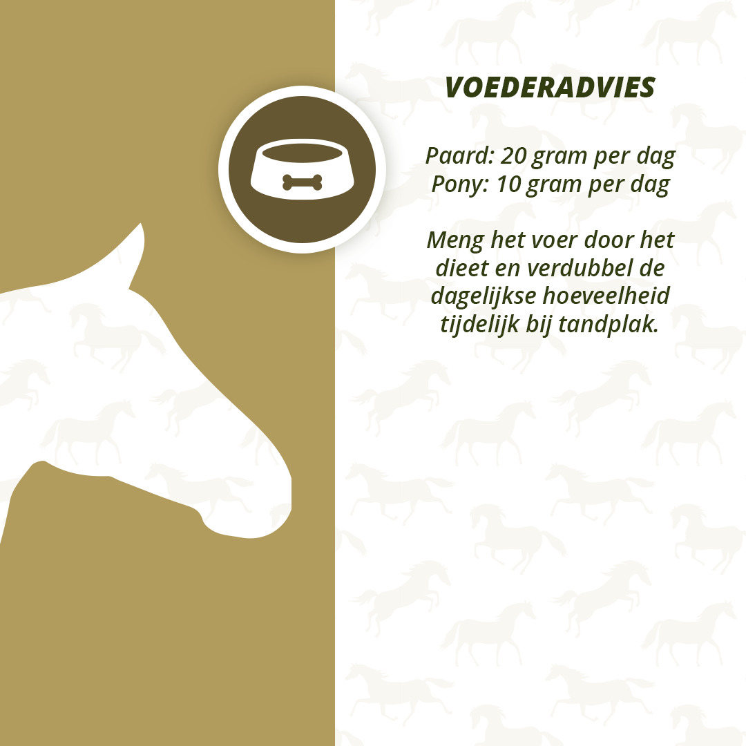 Excellent Horse Dental Care 1 kg — afbeelding 4