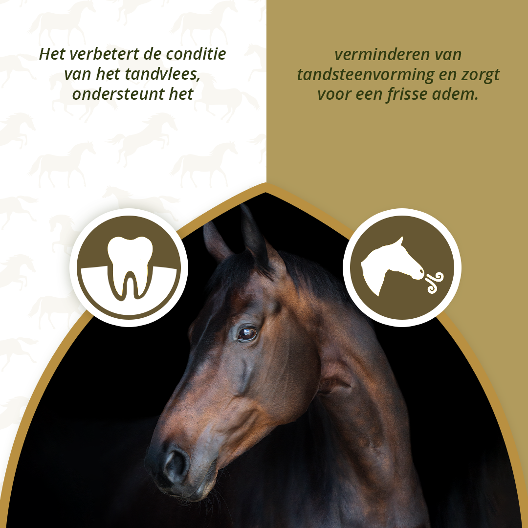 Excellent Horse Dental Care 1 kg — afbeelding 3