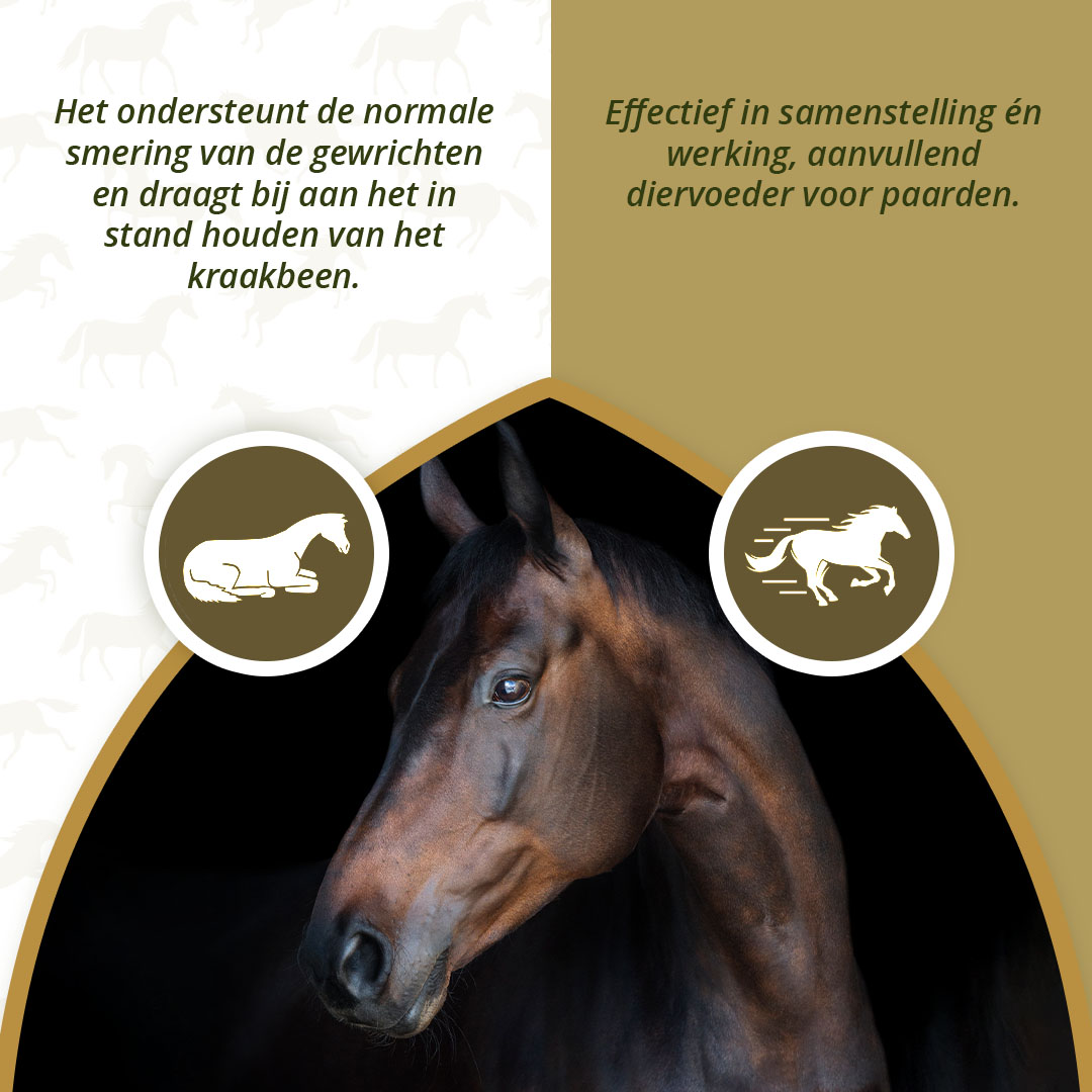 Excellent Horse Mobility Plus 2 kg — afbeelding 4