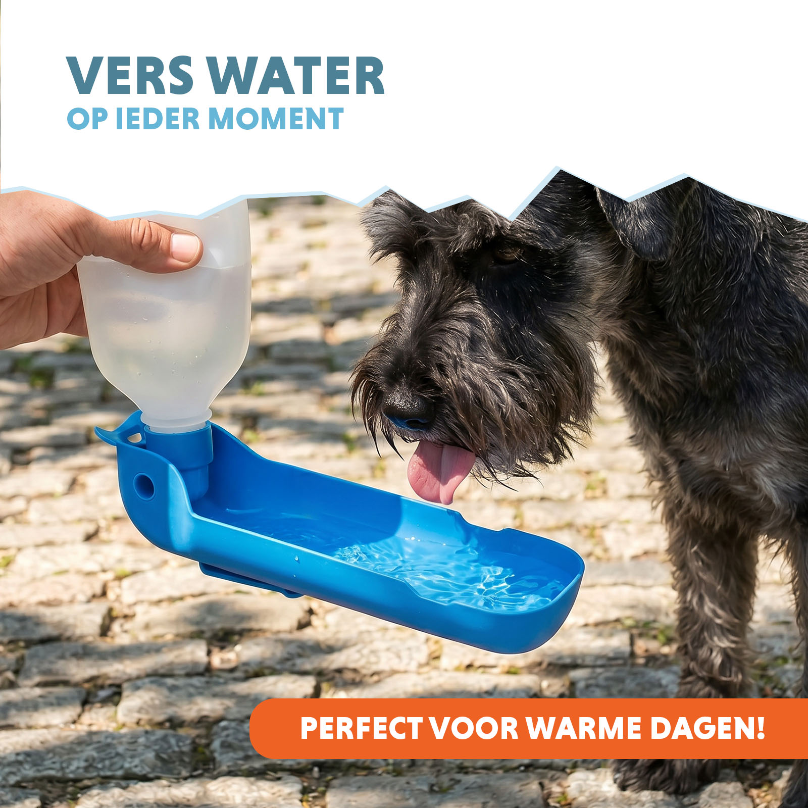 CoolPets Fresh 2GO 300 ml — afbeelding 2