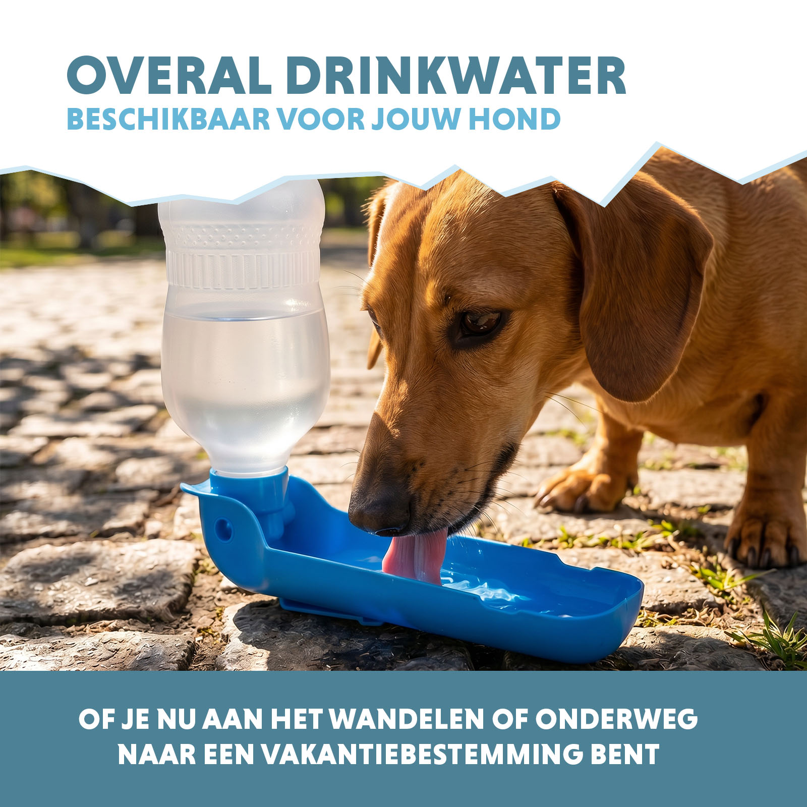 CoolPets Fresh 2GO 300 ml — afbeelding 4