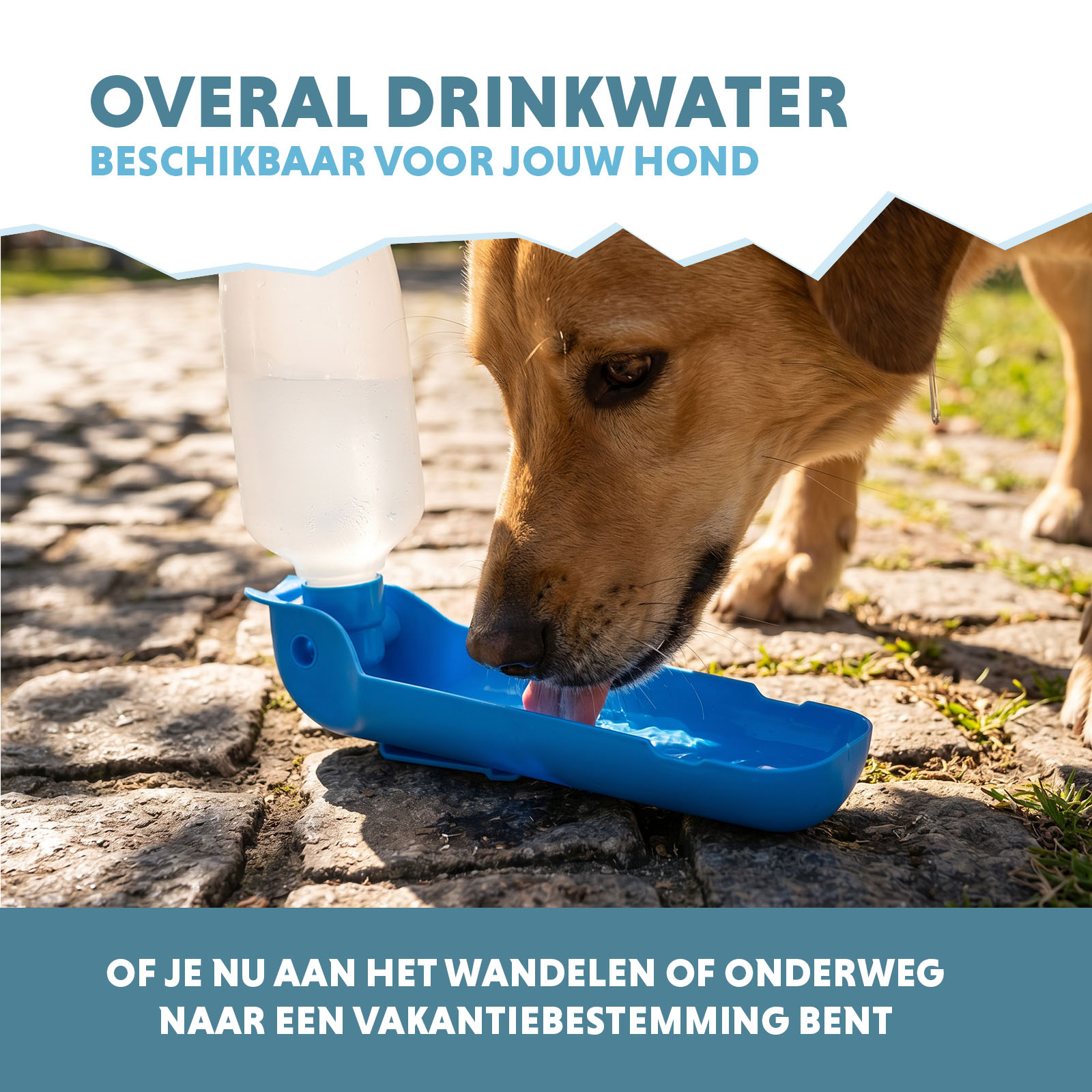CoolPets Fresh 2GO 500 ml — afbeelding 4