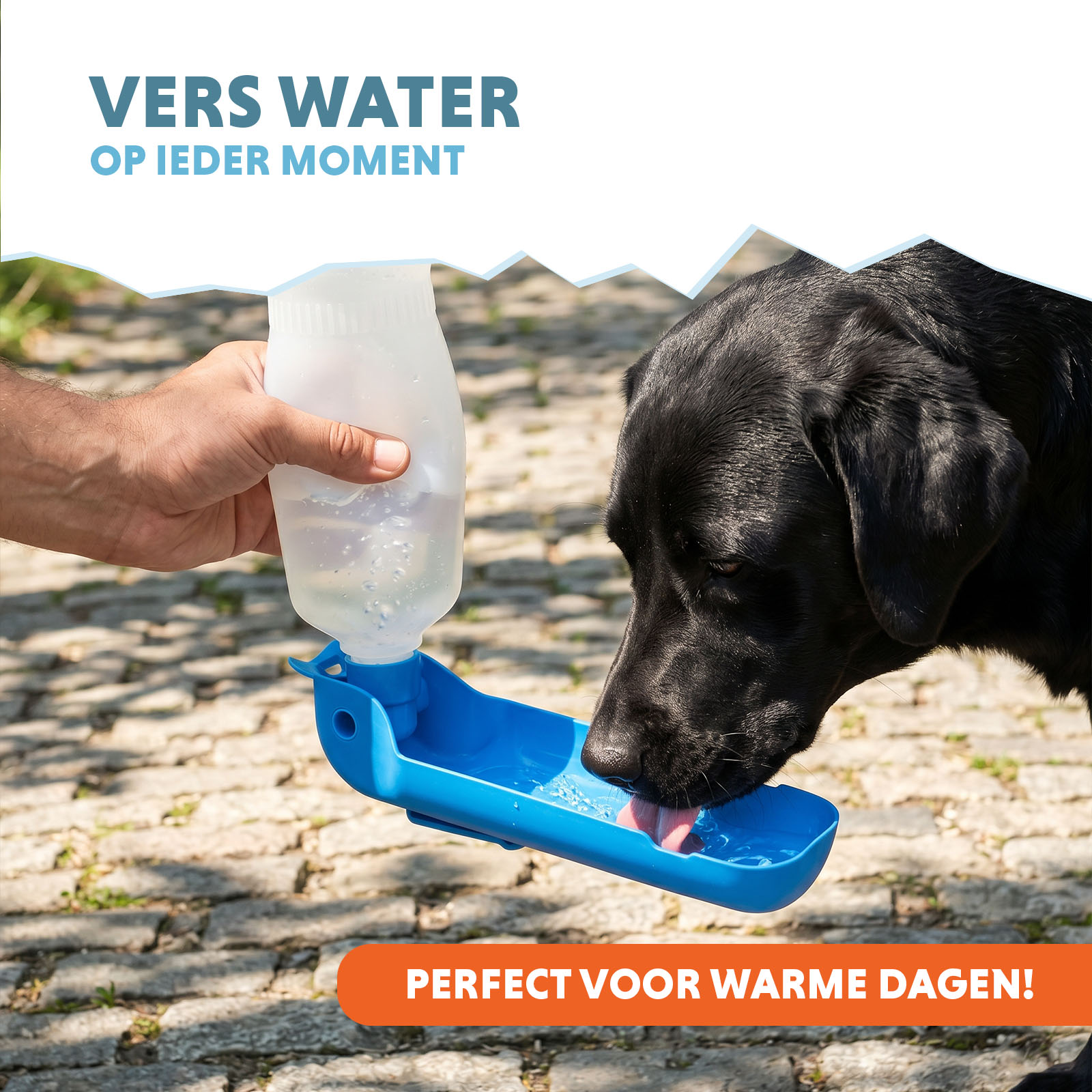 CoolPets Fresh 2GO 500 ml — afbeelding 2
