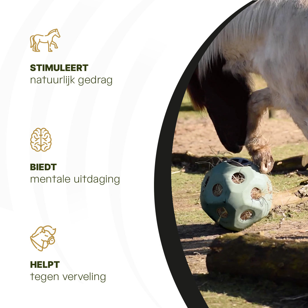 Excellent Horse Feed & Play Ball Groen — afbeelding 6