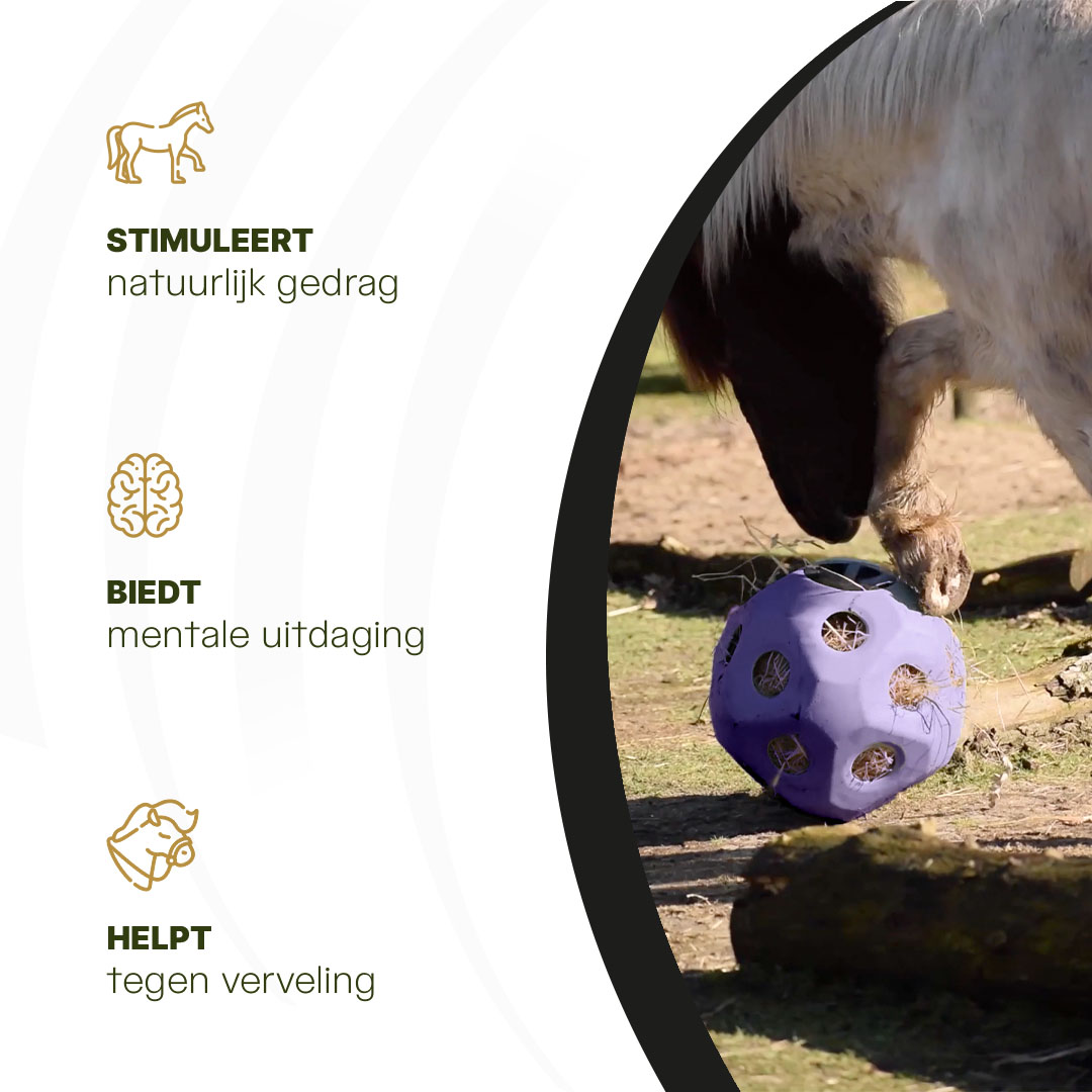 Excellent Horse Feed & Play Ball Paars — afbeelding 6