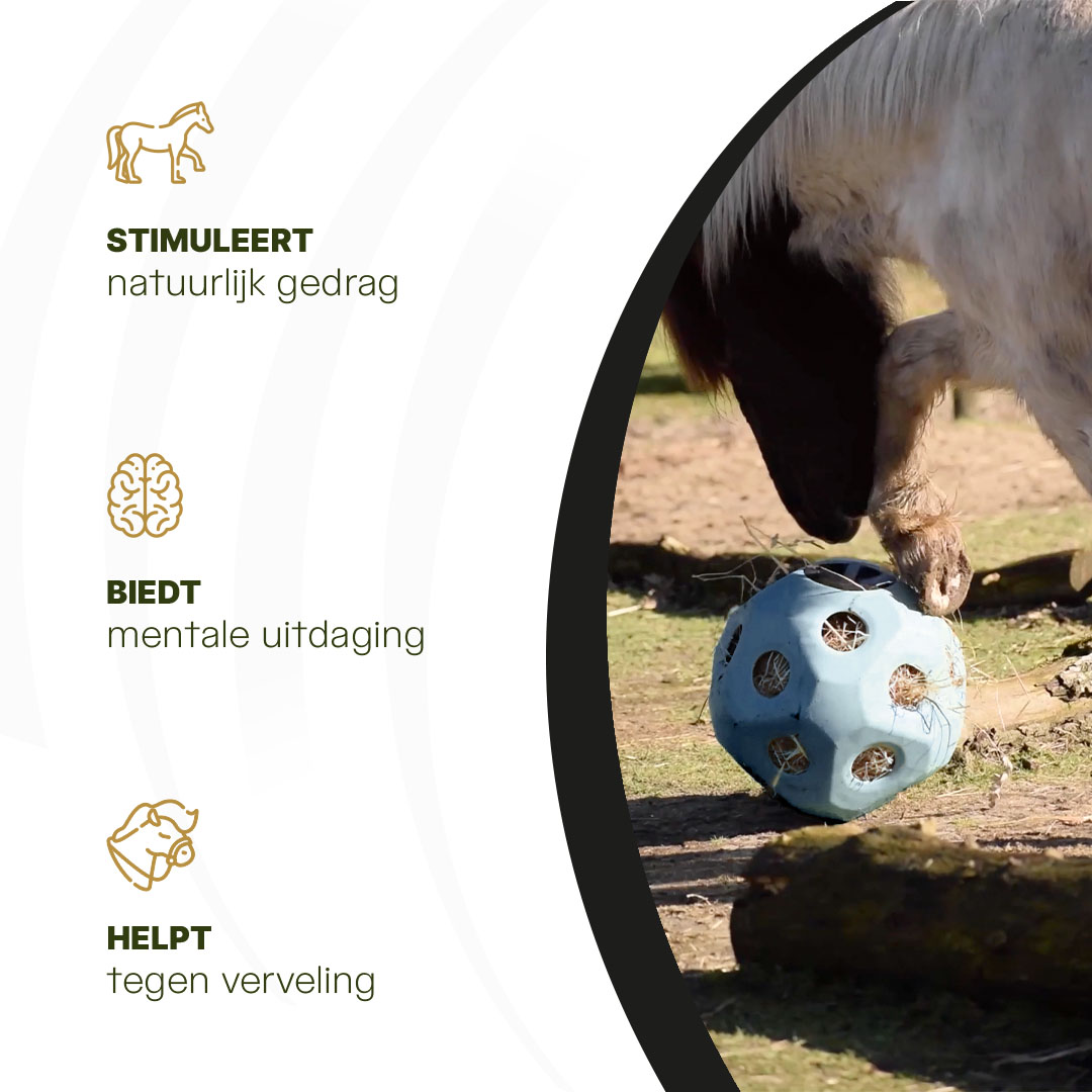 Excellent Horse Feed & Play Ball Blauw — afbeelding 6