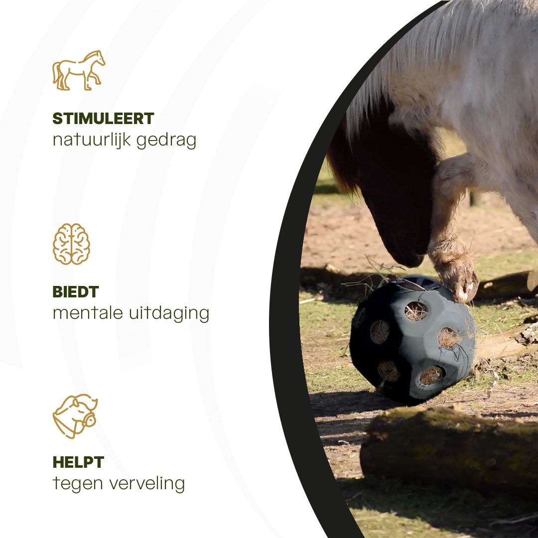 Excellent Horse Feed & Play Ball Zwart — afbeelding 6