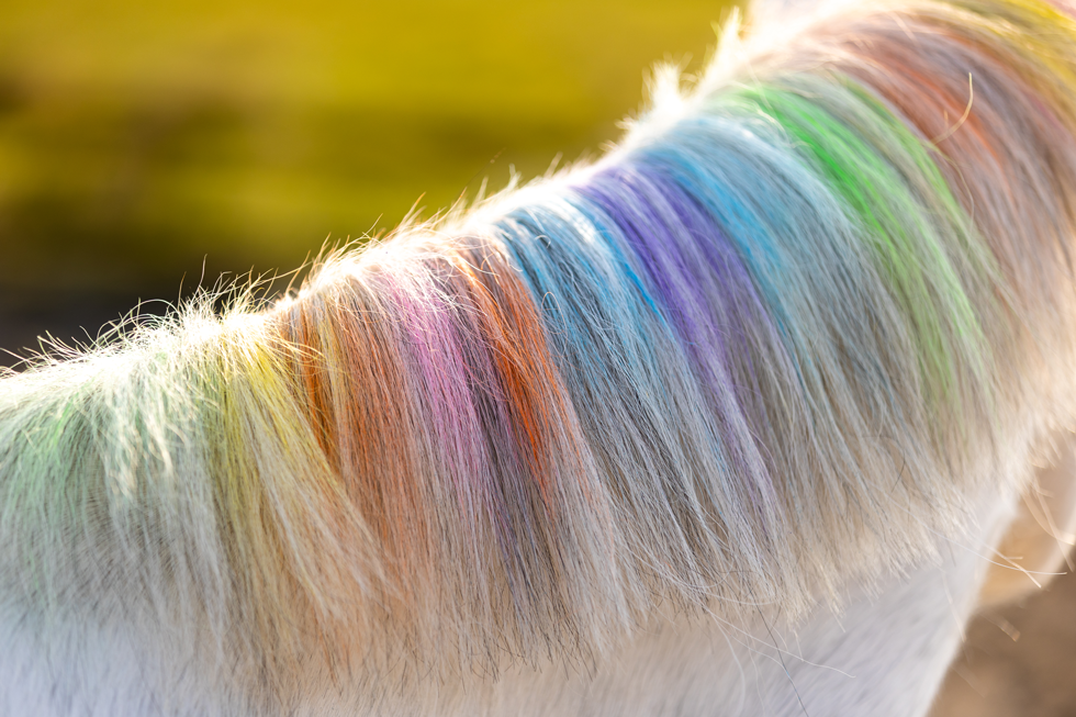 Lucky Horse Unicorn Regenboog Kleurkrijt — afbeelding 6