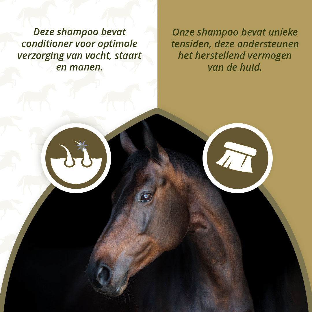 Excellent Horse Hi Gloss Shampoo Lavender 500 ml — afbeelding 3