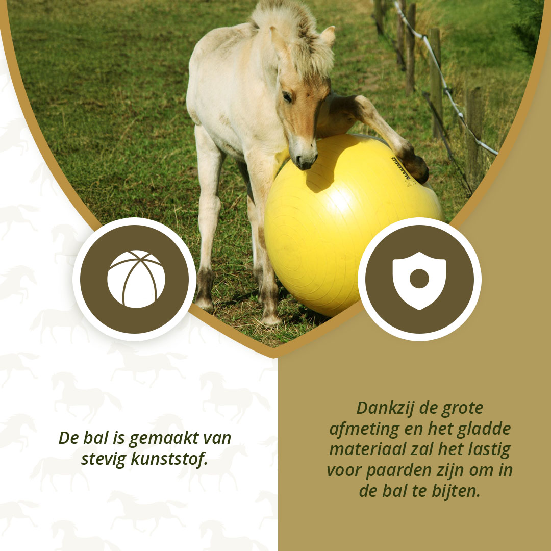 Maximus Power Play Ball 75 cm — afbeelding 6