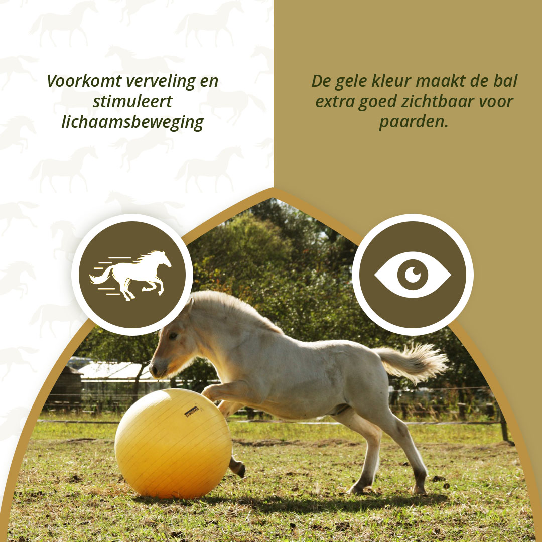 Maximus Power Play Ball 75 cm — afbeelding 5