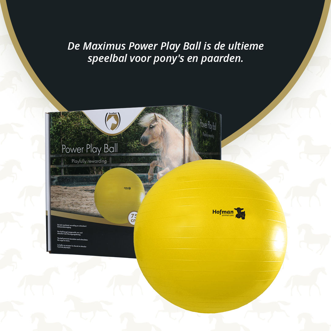 Maximus Power Play Ball 75 cm — afbeelding 3