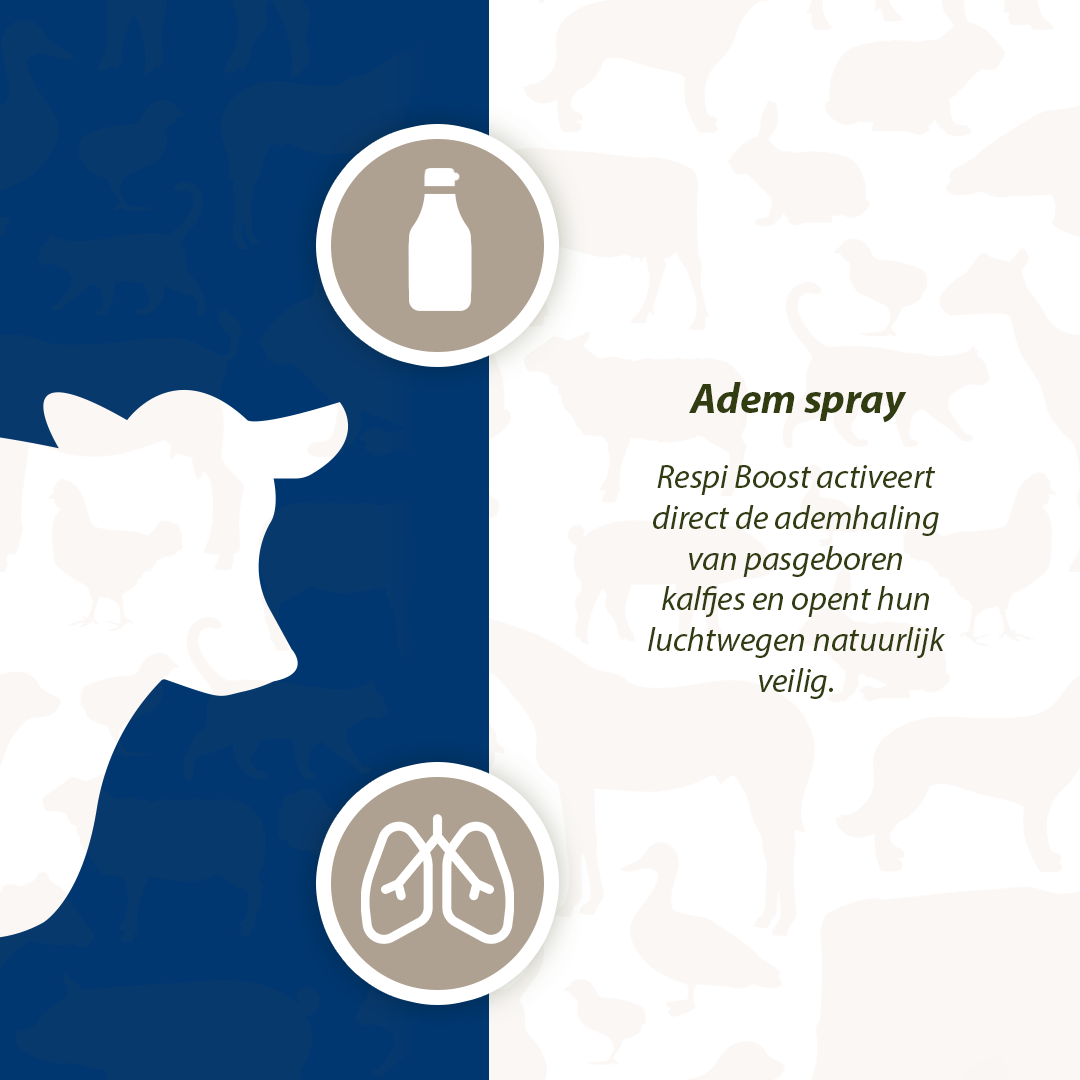 Excellent Respi Boost (Ademspray) 50 ml — afbeelding 4