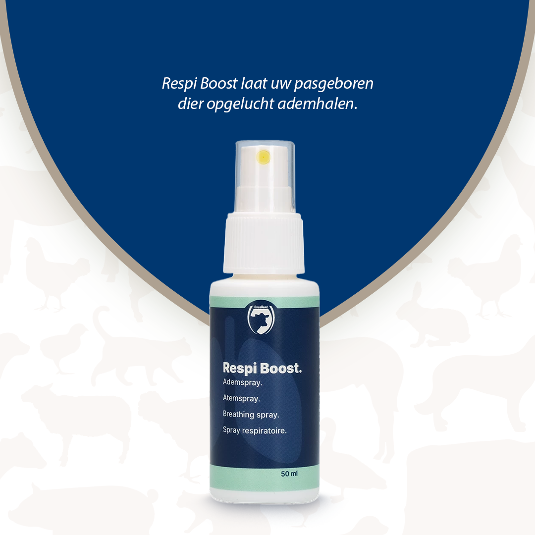 Excellent Respi Boost (Ademspray) 50 ml — afbeelding 2