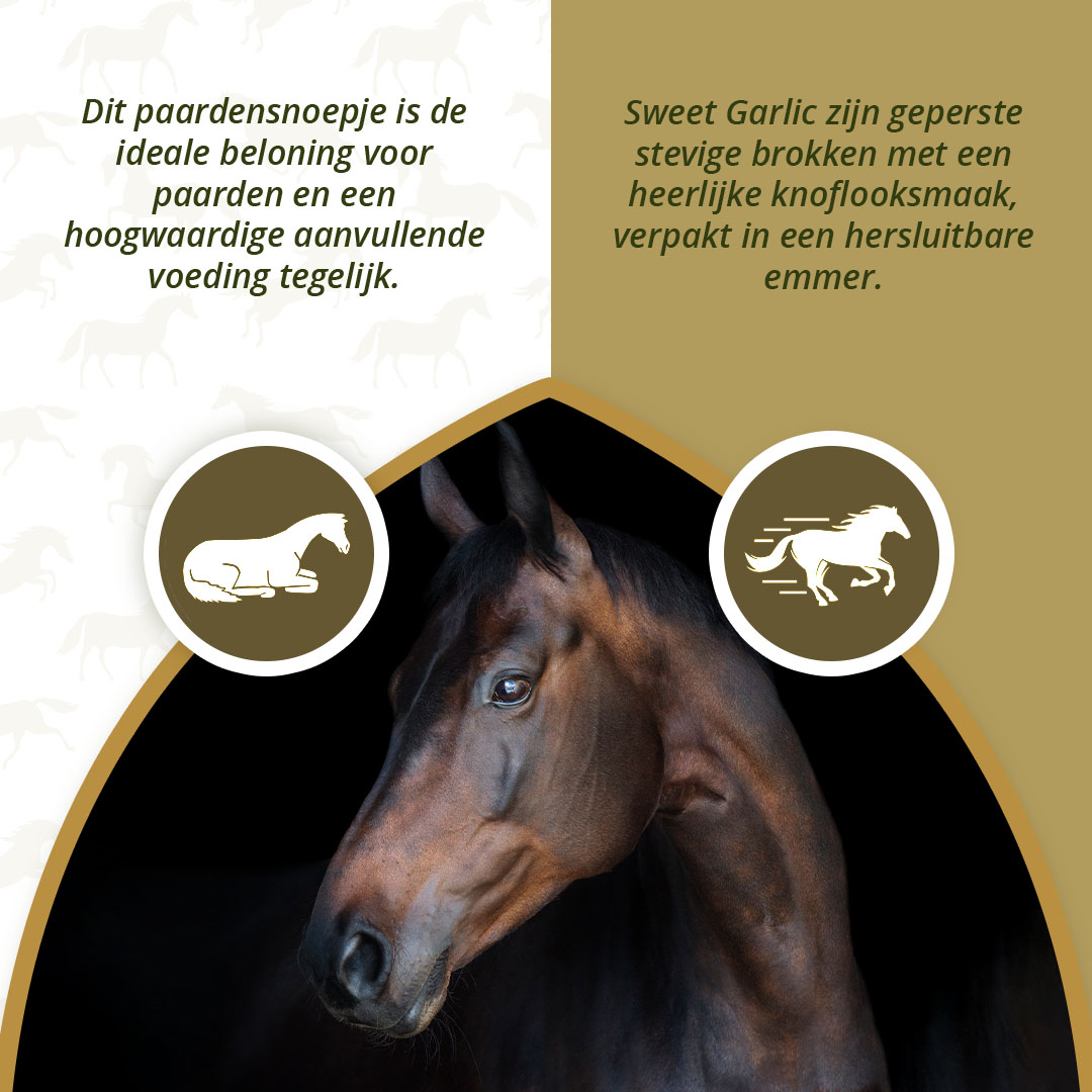 Excellent Horse Sweet Blocks Garlic 1,2 kg — afbeelding 4