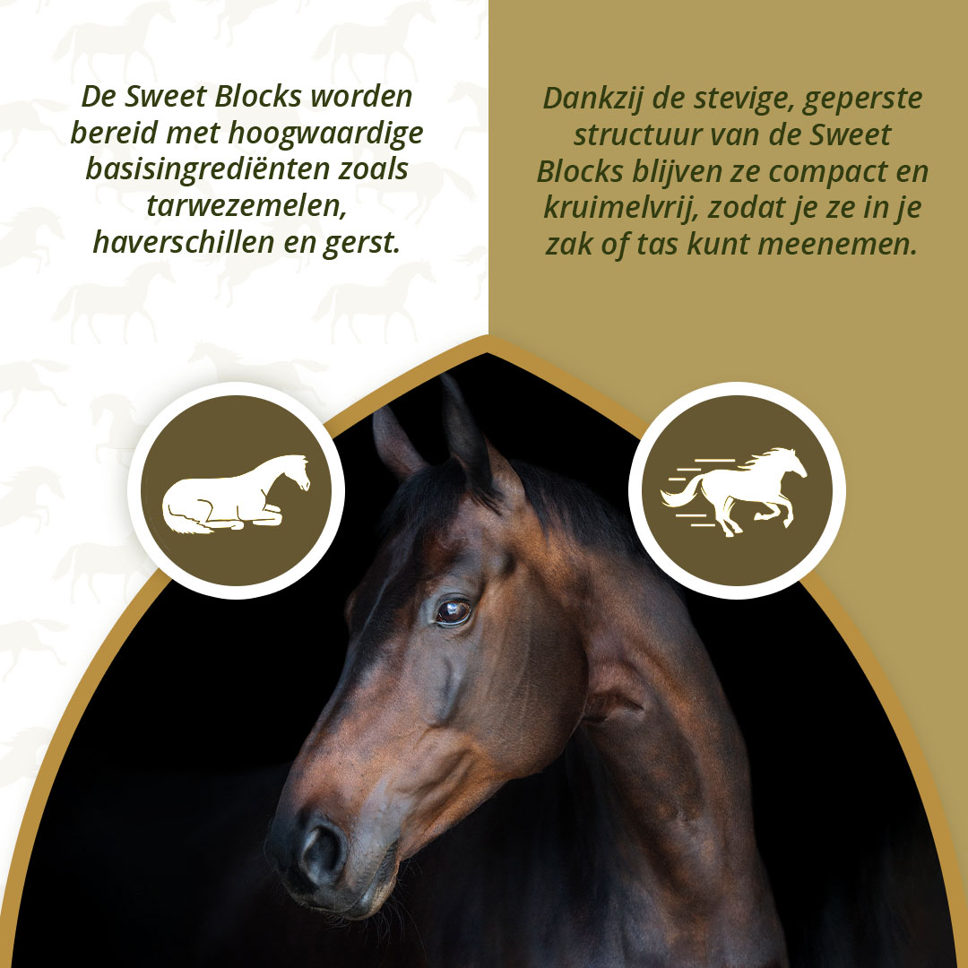 Excellent Horse Sweet Blocks Eucalyptus 1 kg — afbeelding 3