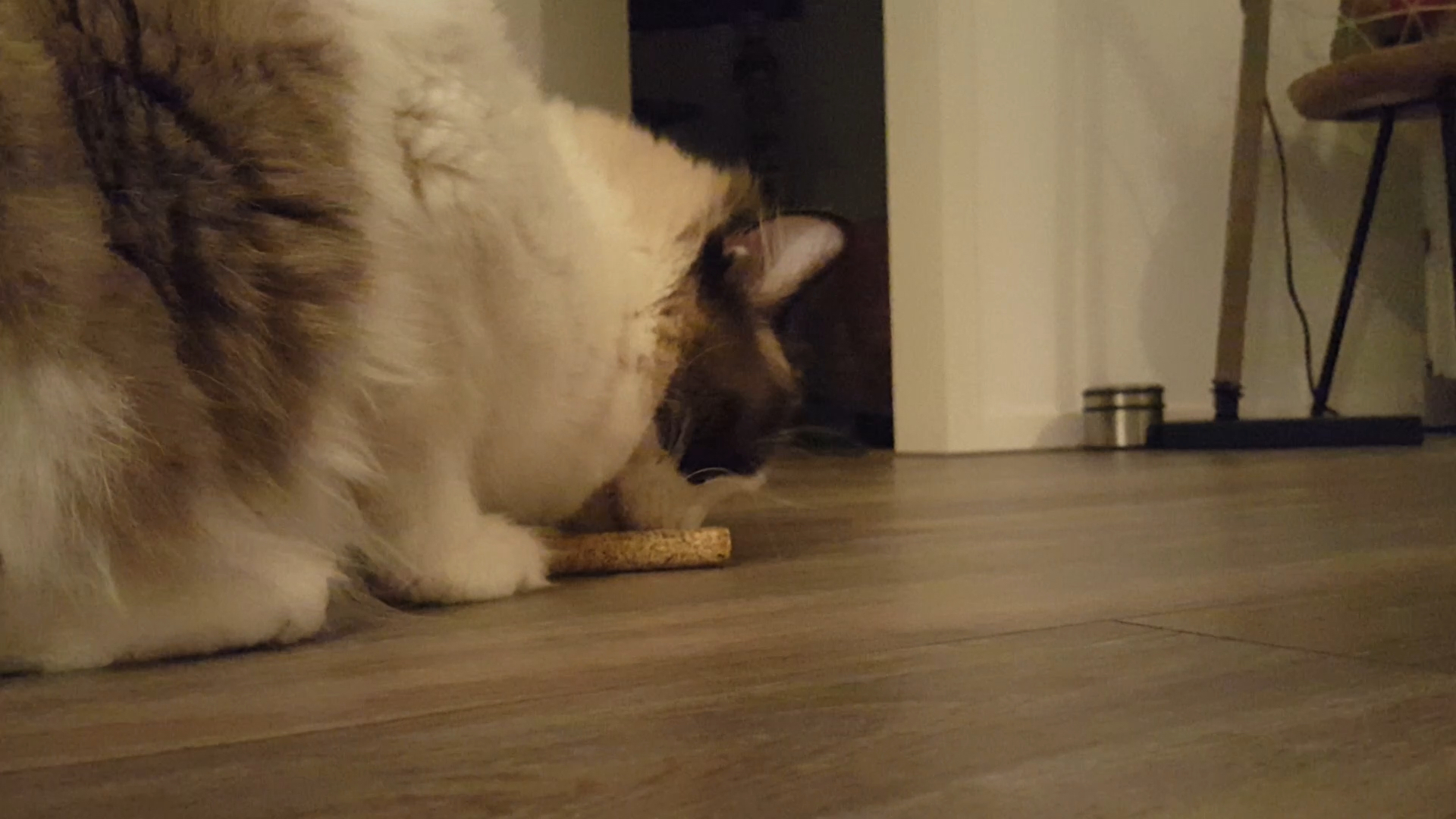 Addicted! Stick (2-Pack) — afbeelding 4