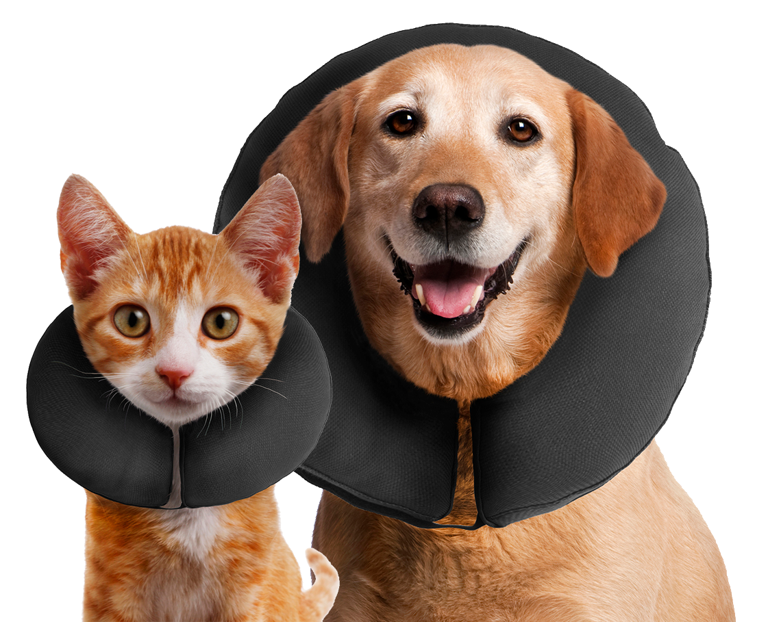 Zenpet ProCollar XL — afbeelding 2