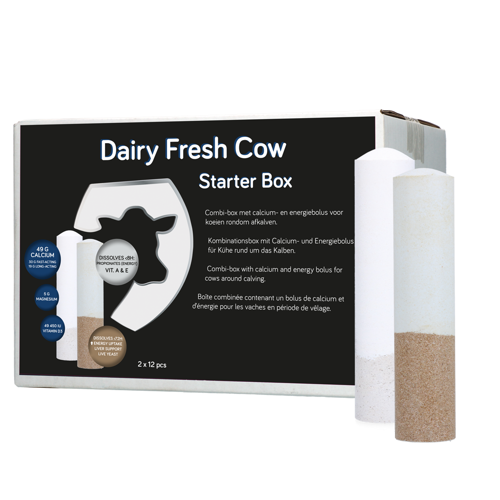 Dairy Fresh Cow Starter Box 2 x 12 stuks