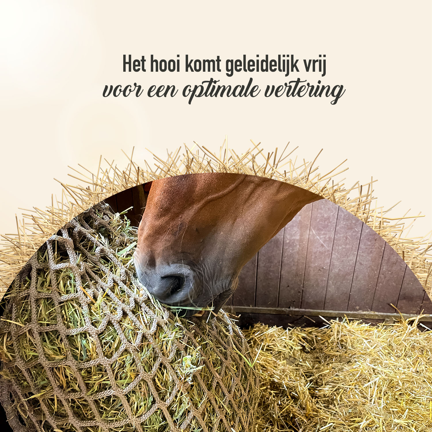 Hay Slow Feeder Net 10 kg (45 mm) — afbeelding 6