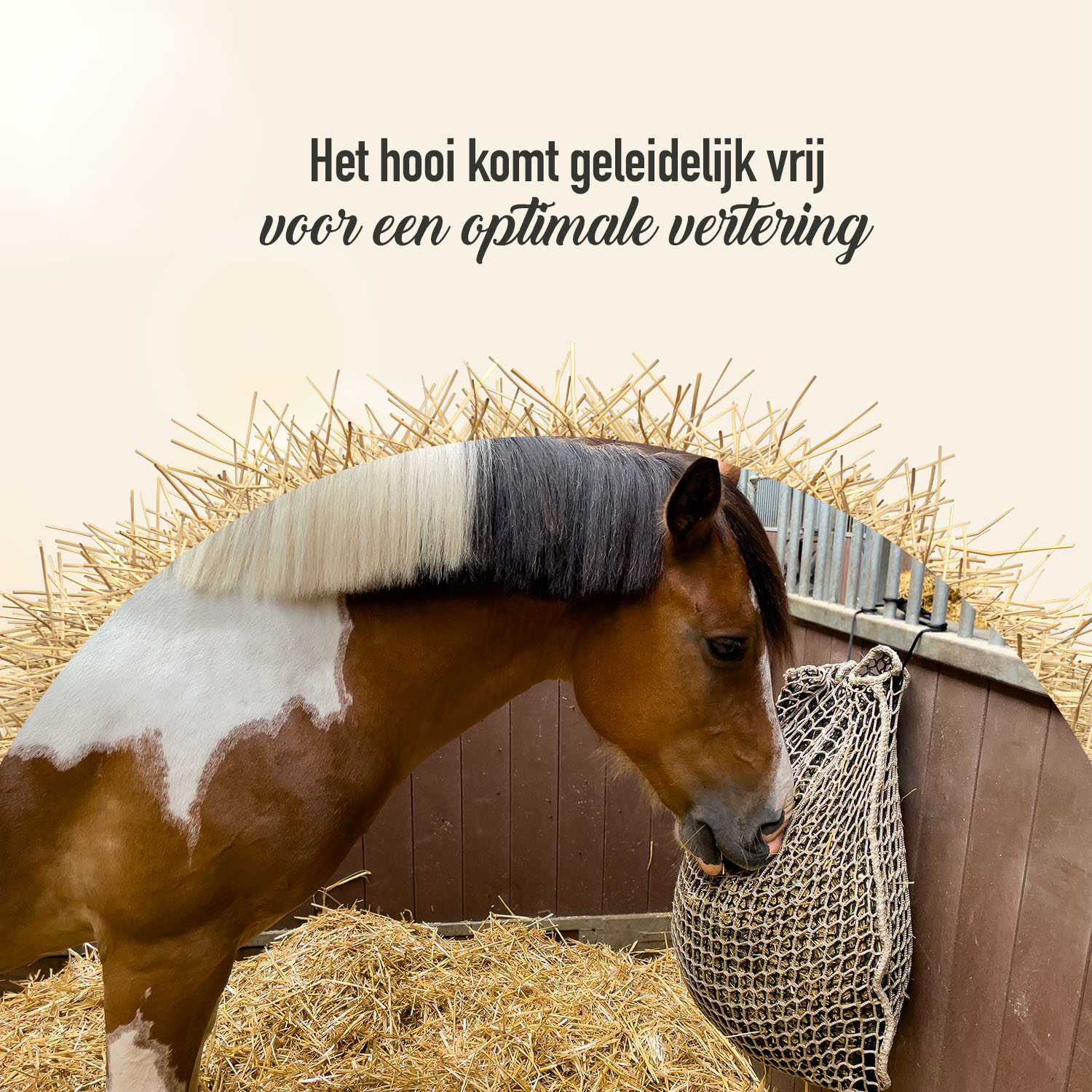 Hay Slow Feeder Net Ronde Baal — afbeelding 6
