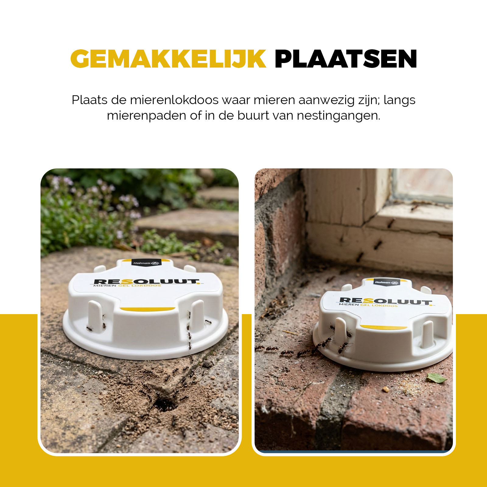 Resoluut Mieren Gel Lokdoos 20 stuks — afbeelding 6