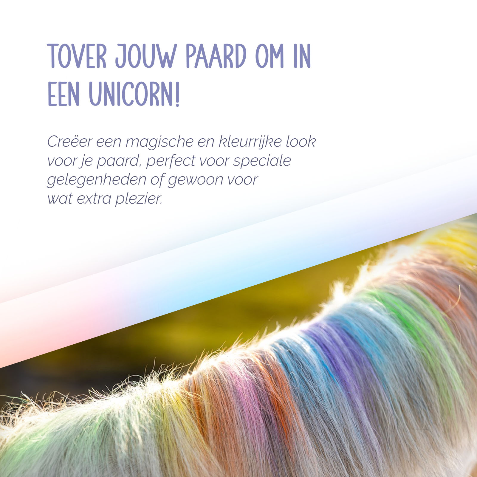 Paardenpraat Regenboog Kleurkrijt — afbeelding 6