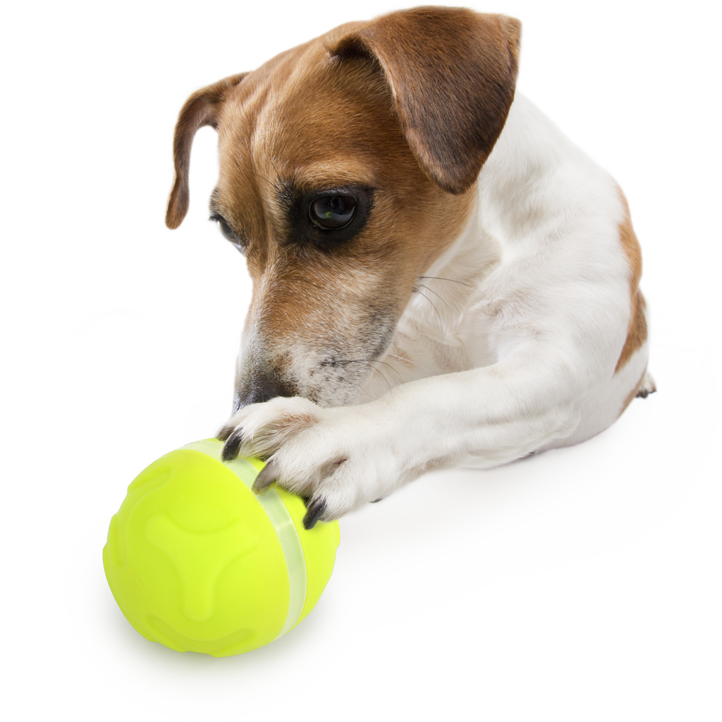 AFP Interactives - Lucky Treat with Rolling Ball — afbeelding 5