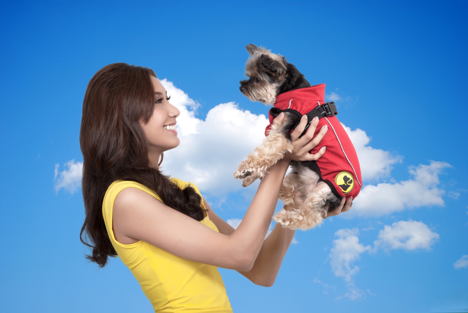 Dog Armor Knockdown Coat (Insect Shield) XXXXS (20cm ruglengte) — afbeelding 5