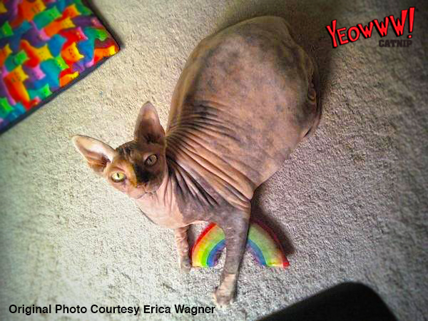 Yeowww! Rainbow — afbeelding 3