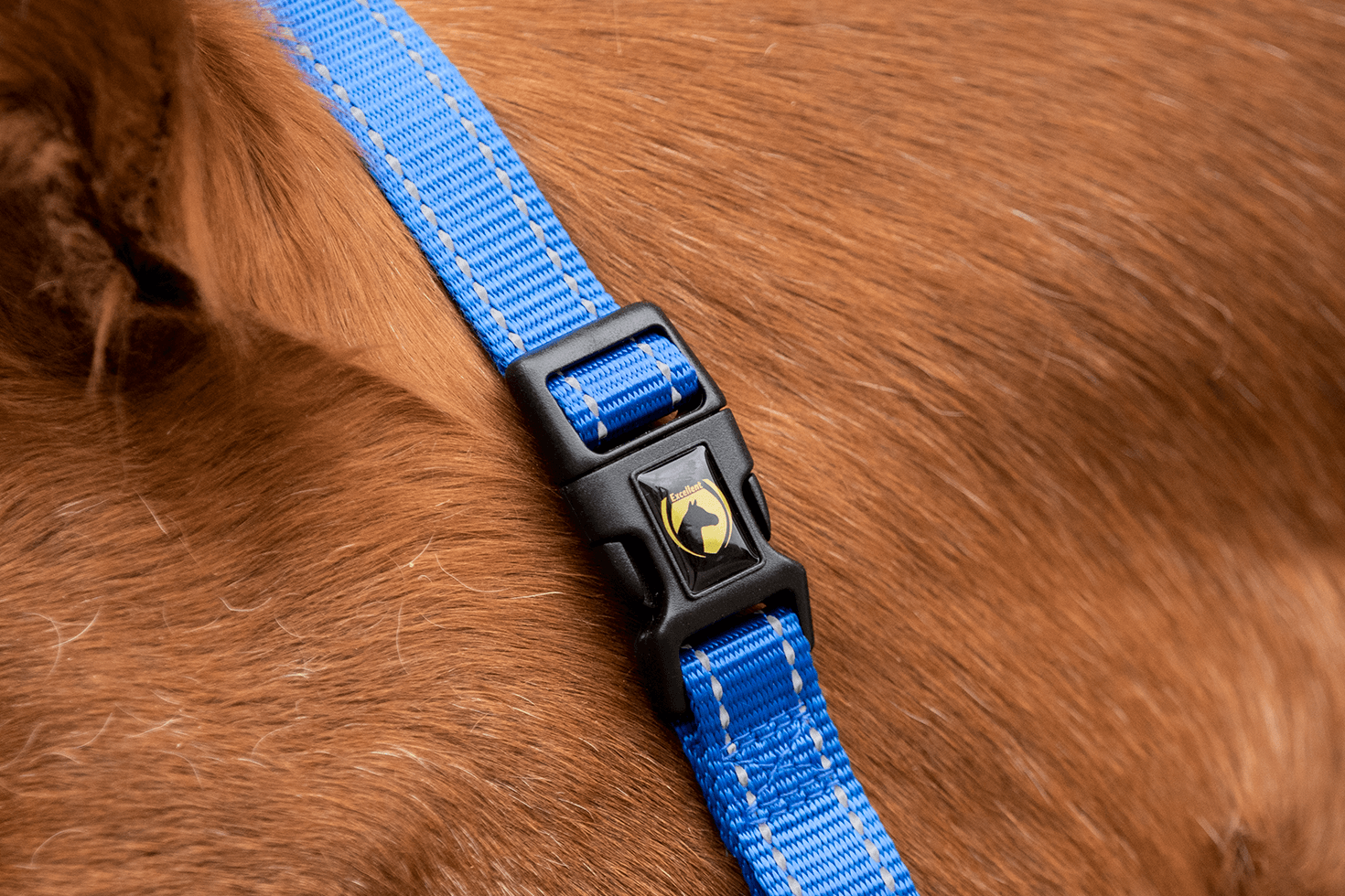 Excellent Premium Halster Blauw XS — afbeelding 4