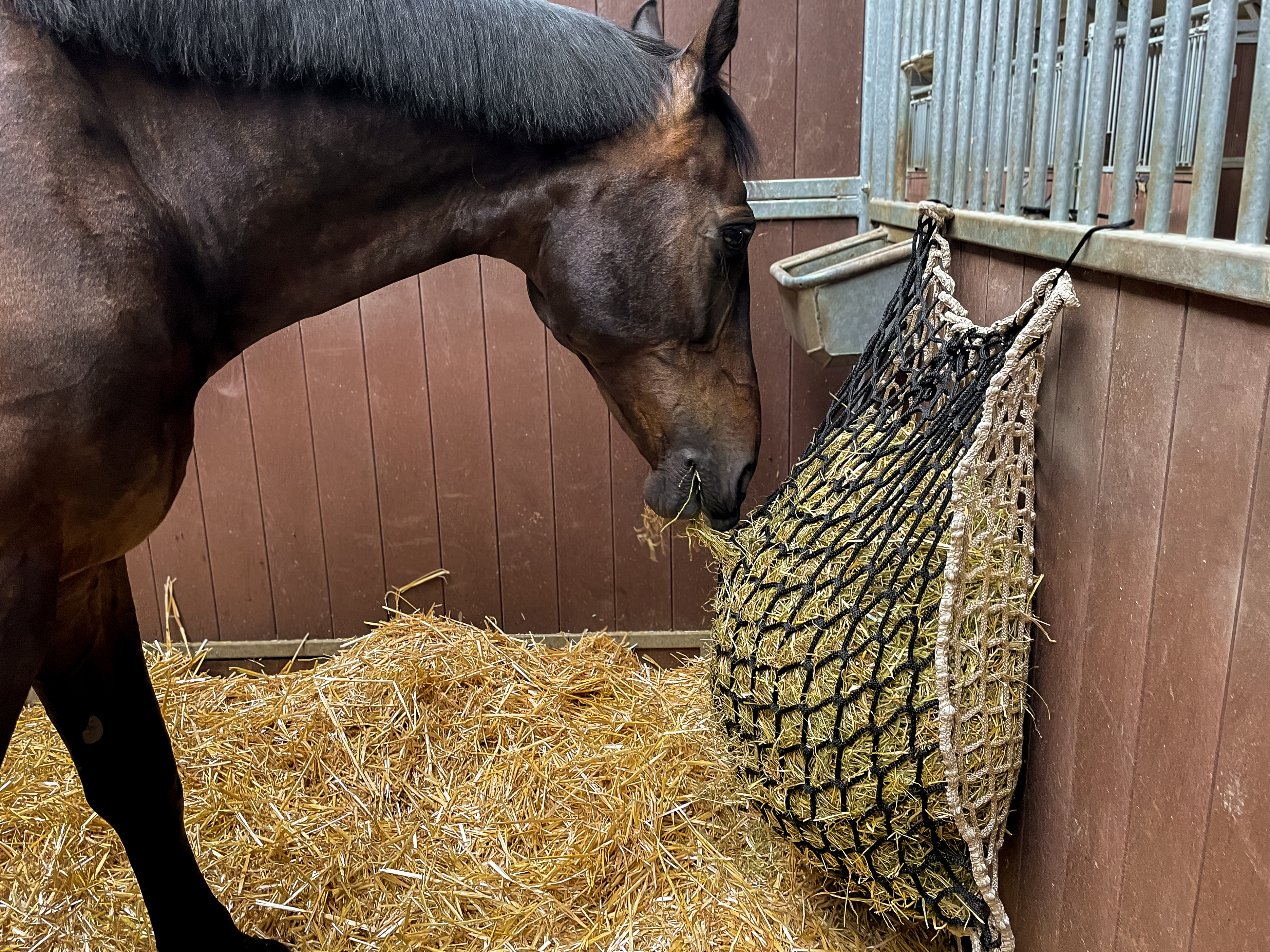 Hay Slow Feeder Net 10 kg (60/45 mm) — afbeelding 3