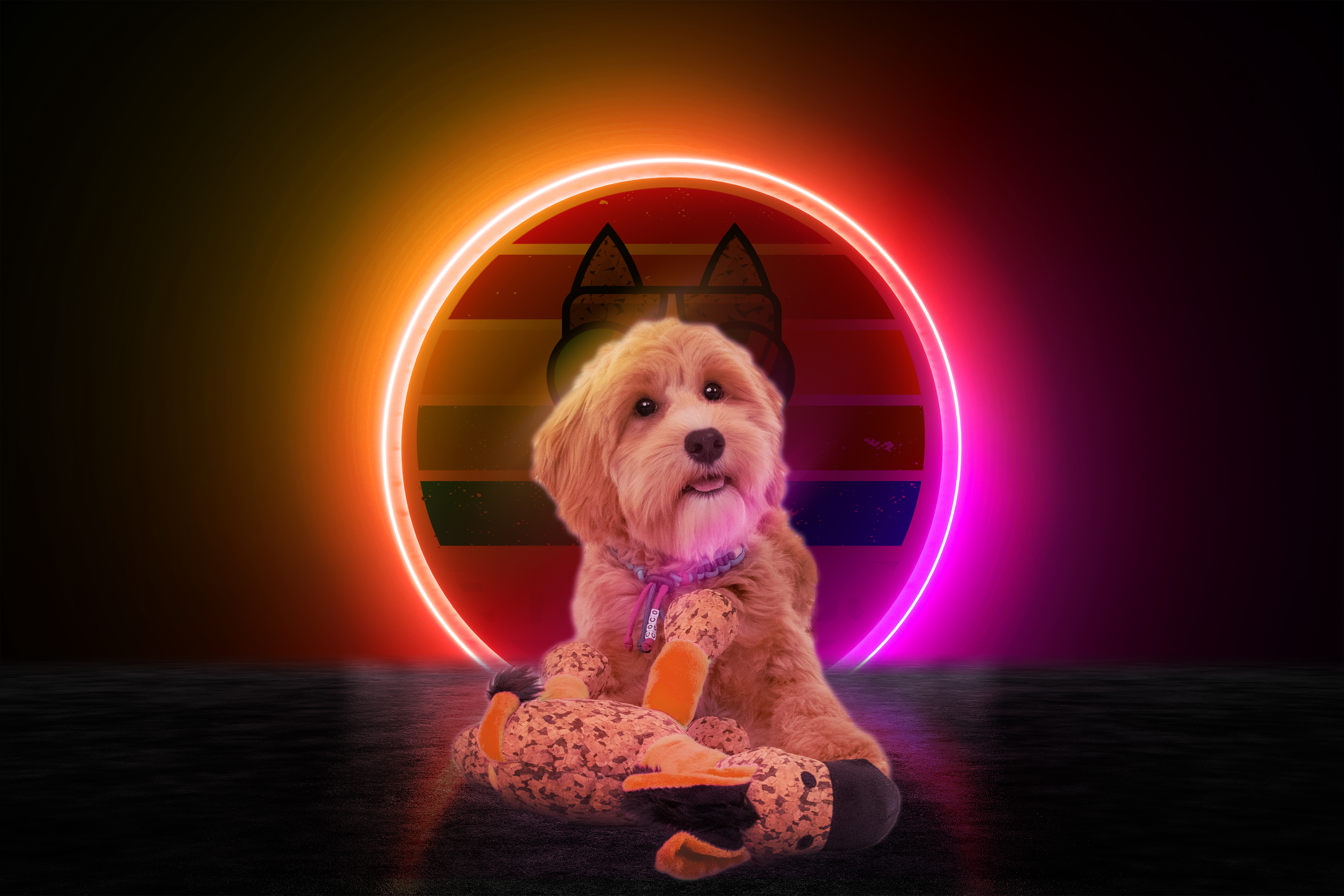 Retrodog Donkey Oranje S — afbeelding 3