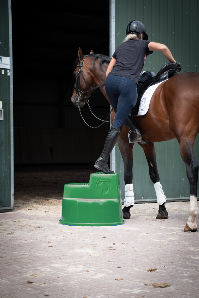 Excellent Horse Opstaphulp 3 Treden Groen — afbeelding 3