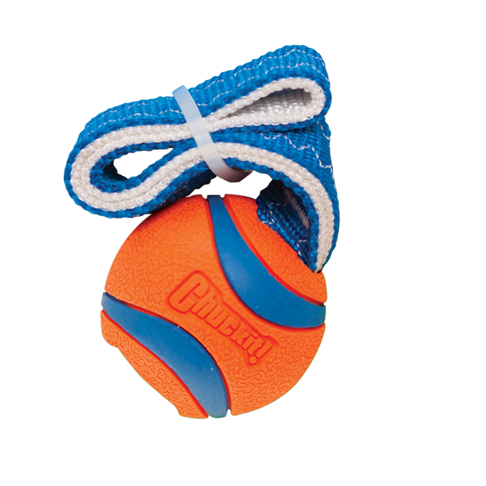 Chuckit! Ultra Tug S — afbeelding 2