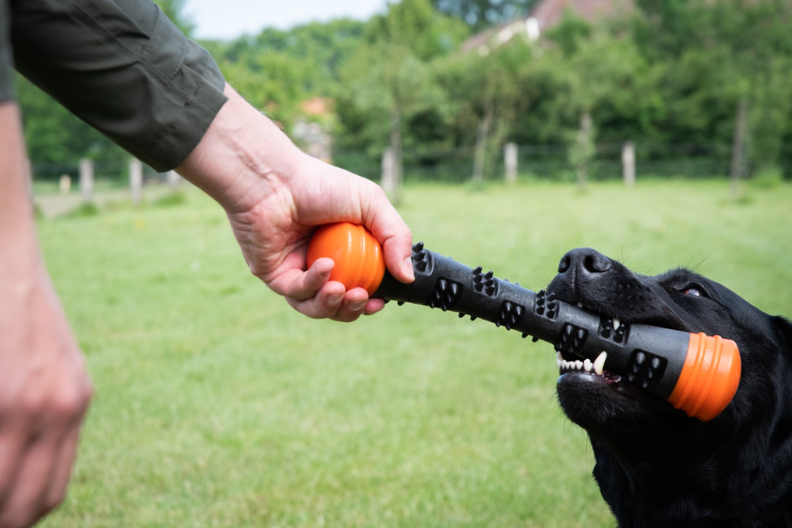 Dog Comets Meteor Werpstok Oranje L — afbeelding 3