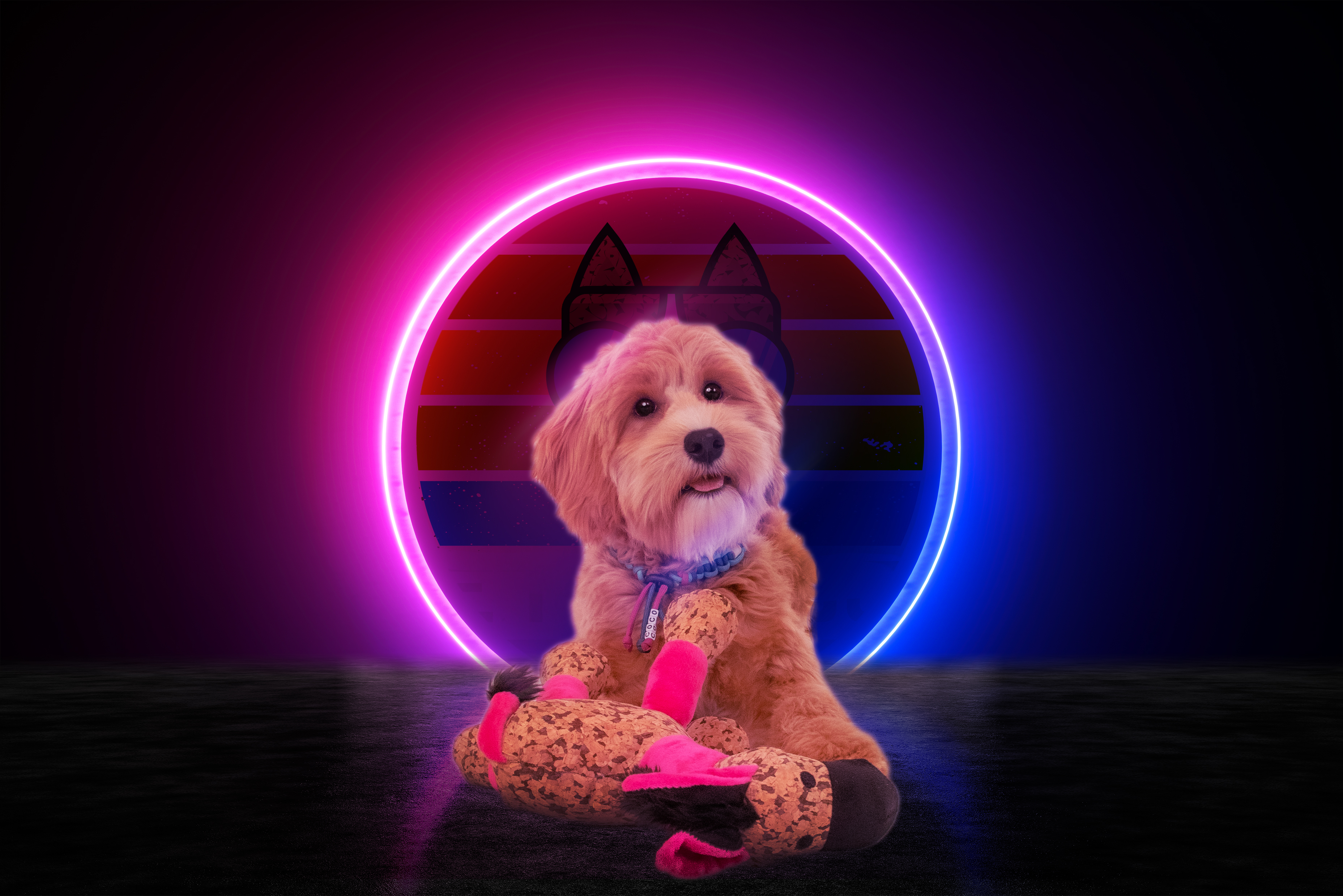 Retrodog Donkey Roze S — afbeelding 3
