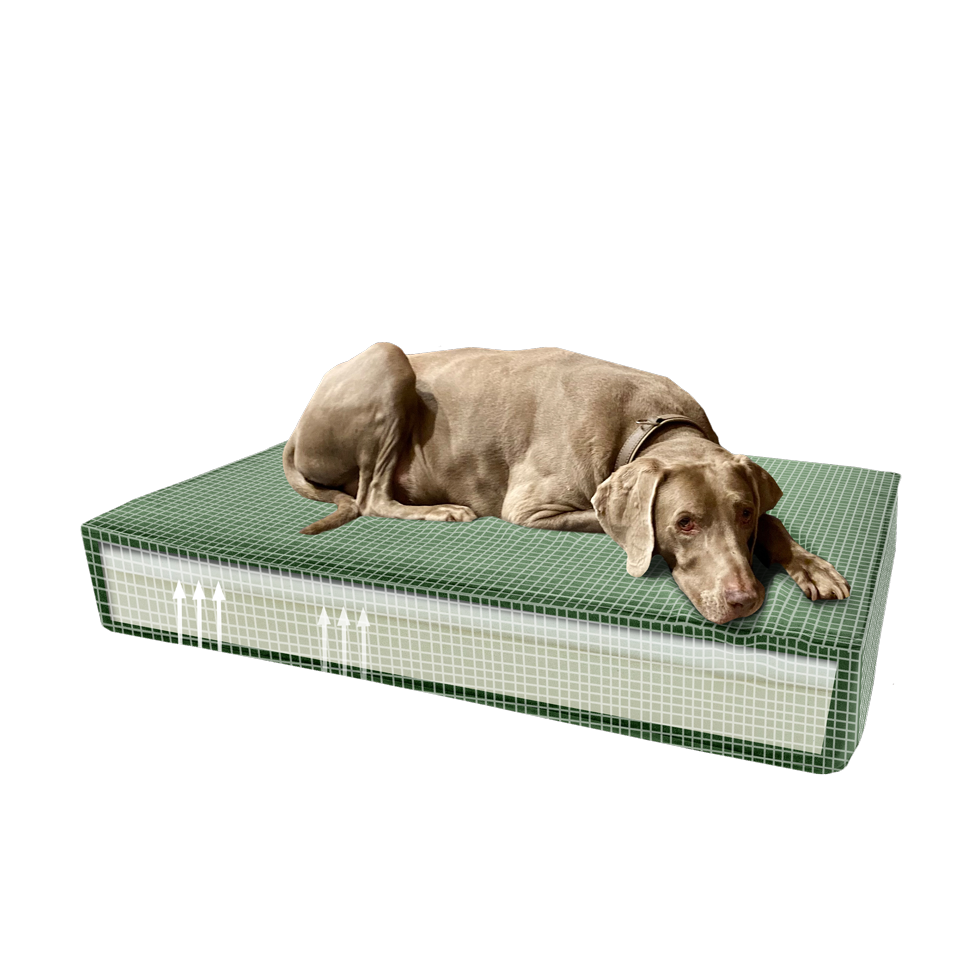 Madison Orthopedisch Kussen Velvet Groen S — afbeelding 4