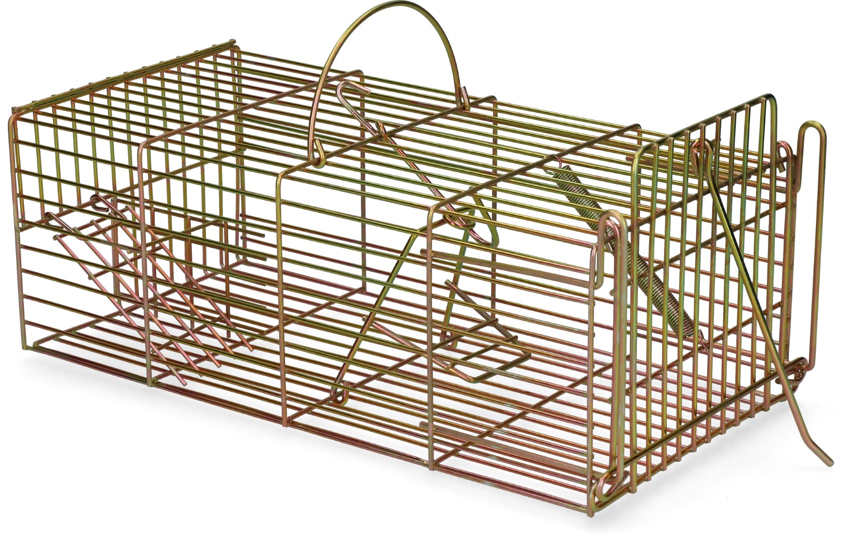 Inloopval rat levend massa — afbeelding 3
