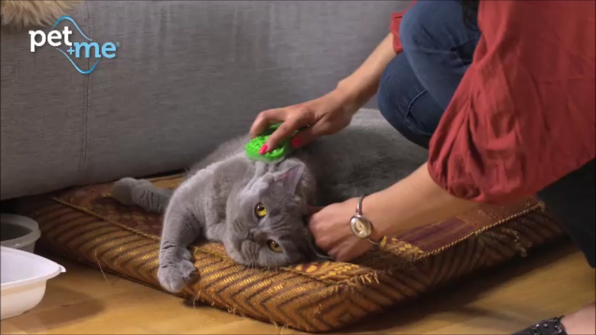 Pet+Me Cat Hair Brush Lang haar Groen — afbeelding 5