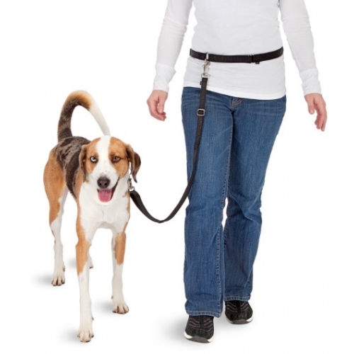 Pawise Hands Free Doggy Jogger Kit — afbeelding 3