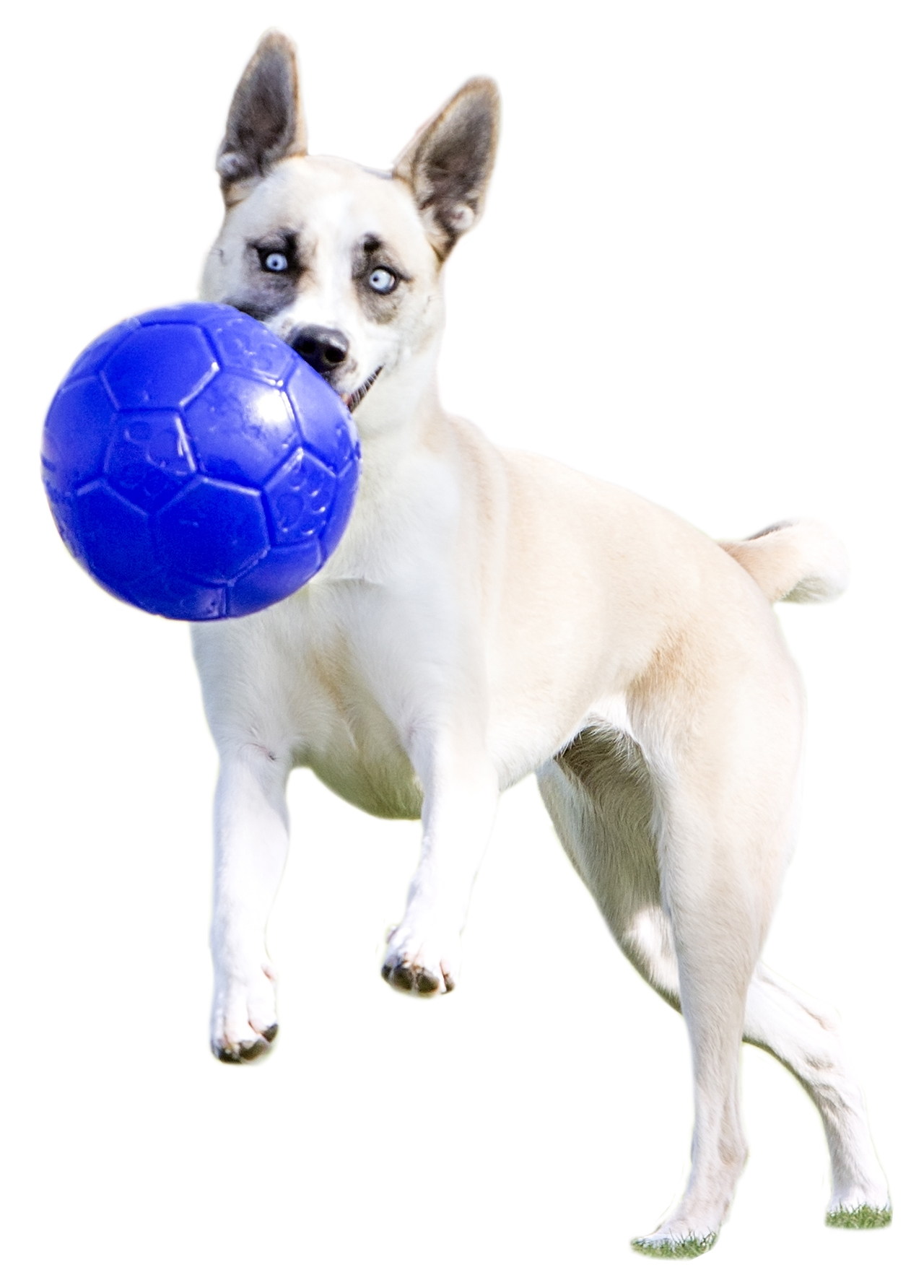 Jolly Soccer Ball Lichtblauw S (15 cm) — afbeelding 6
