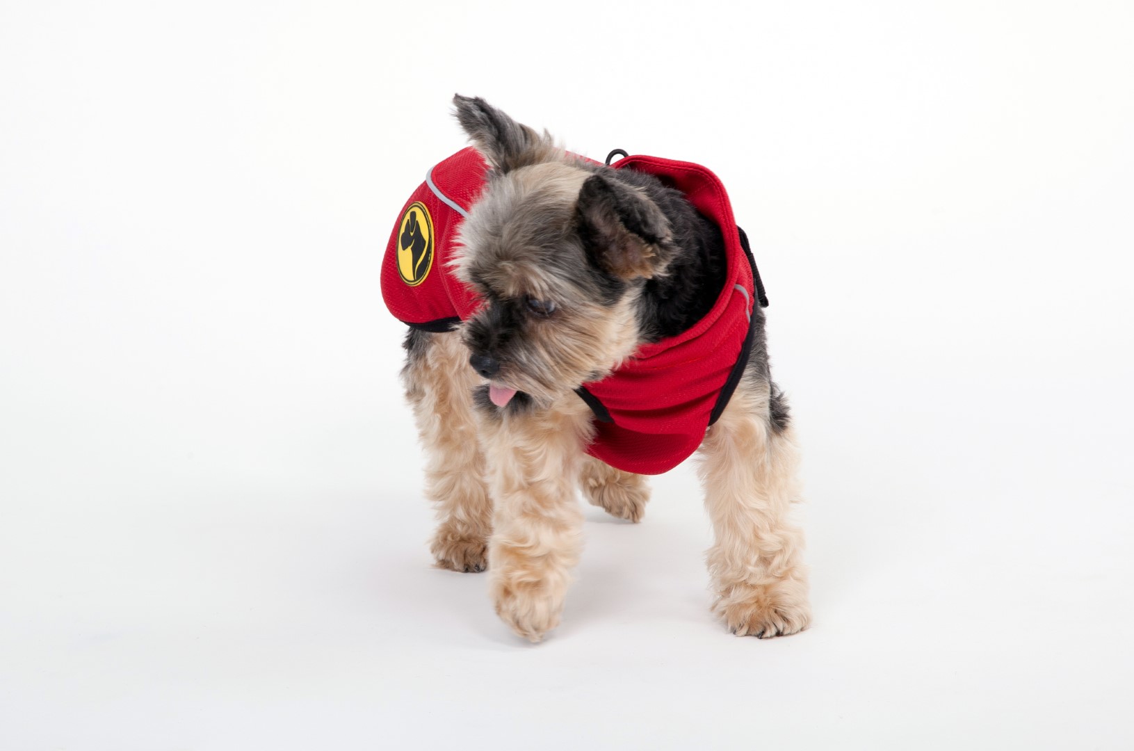 Dog Armor Knockdown Coat (Insect Shield) XXXXS (20cm ruglengte) — afbeelding 6