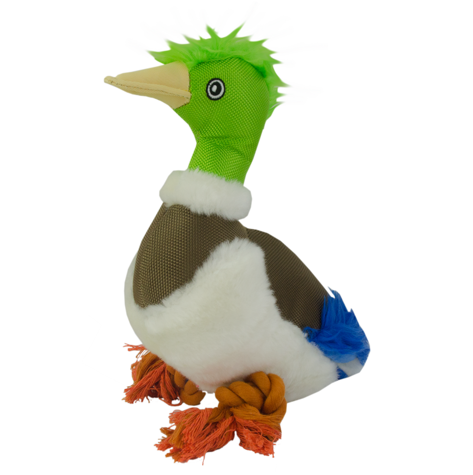 Wild Life Dog Eend — afbeelding 2