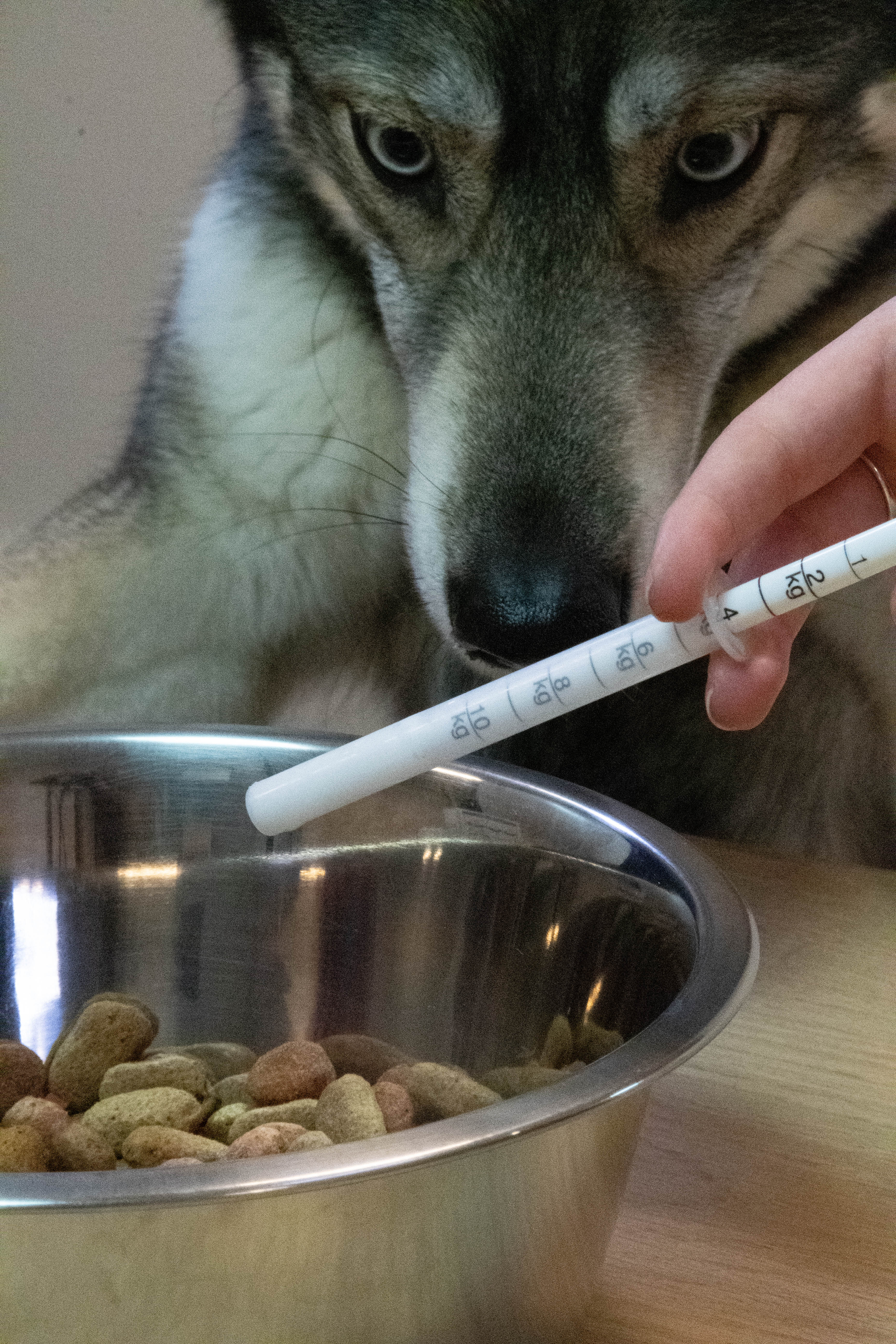 Dolthene Ontwormingsmiddel 20 ml — afbeelding 3