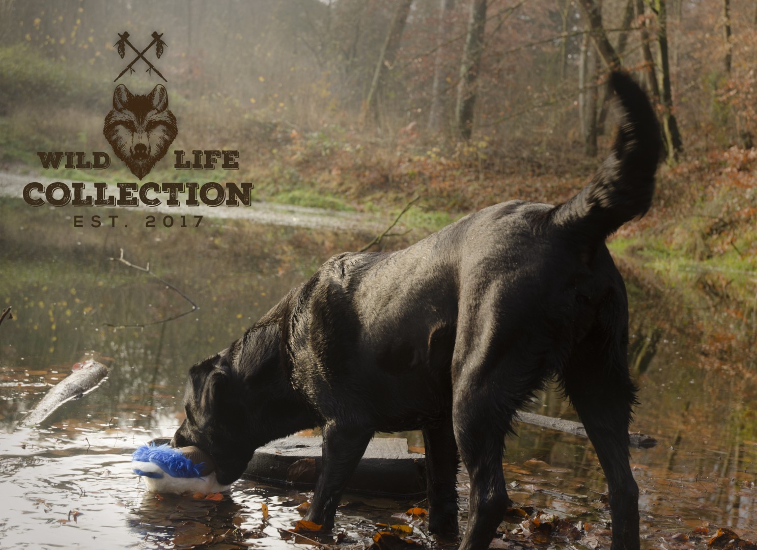 Wild Life Dog Eend — afbeelding 5